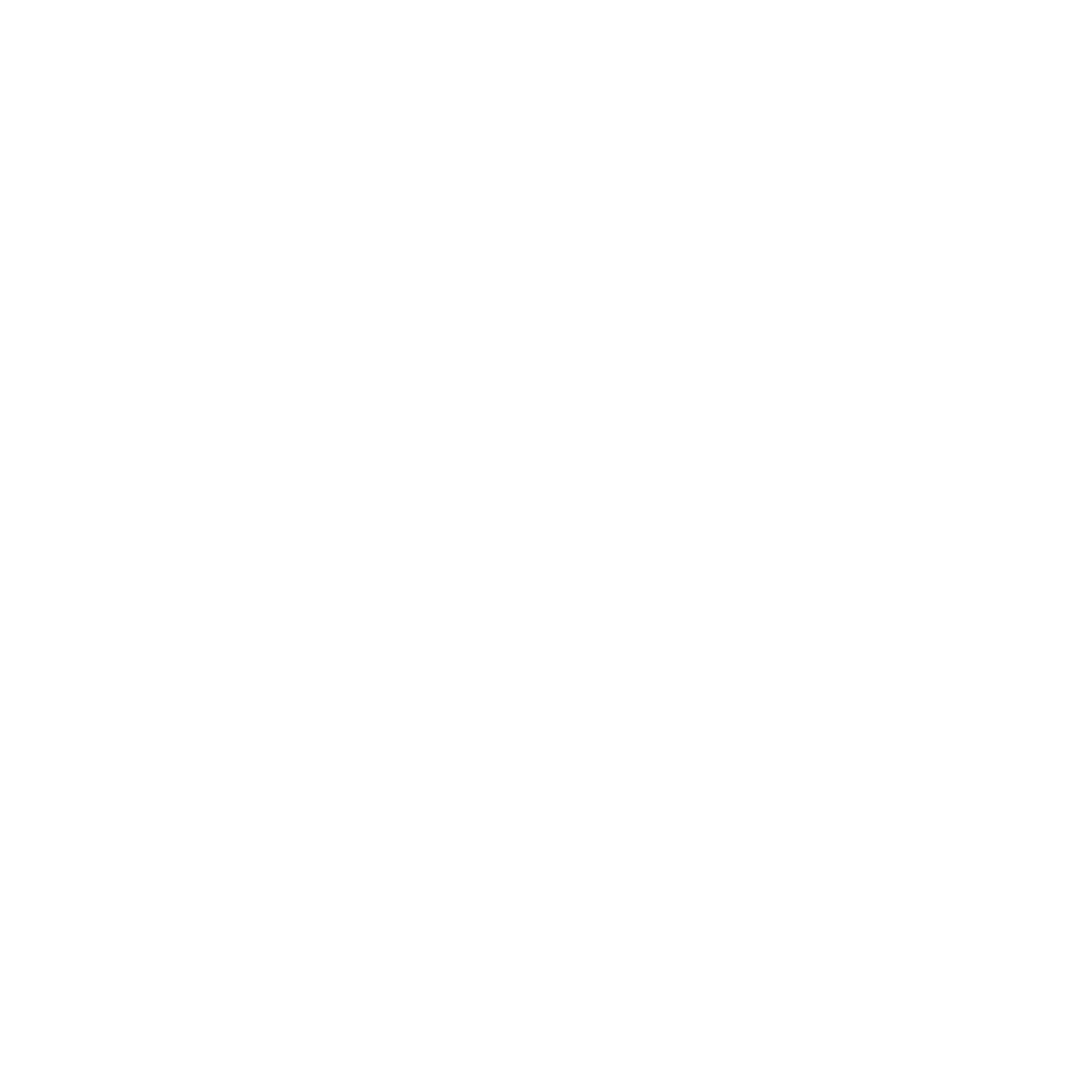 Executive Protection